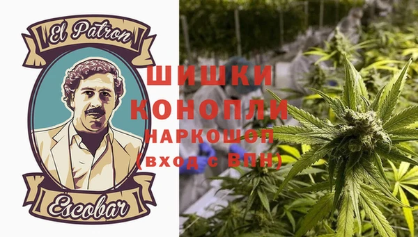 сатива Белокуриха