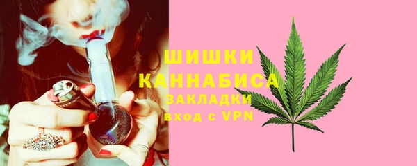 сатива Белокуриха