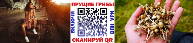 Псилоцибиновые грибы мухоморы  Купить где  Абдулино 